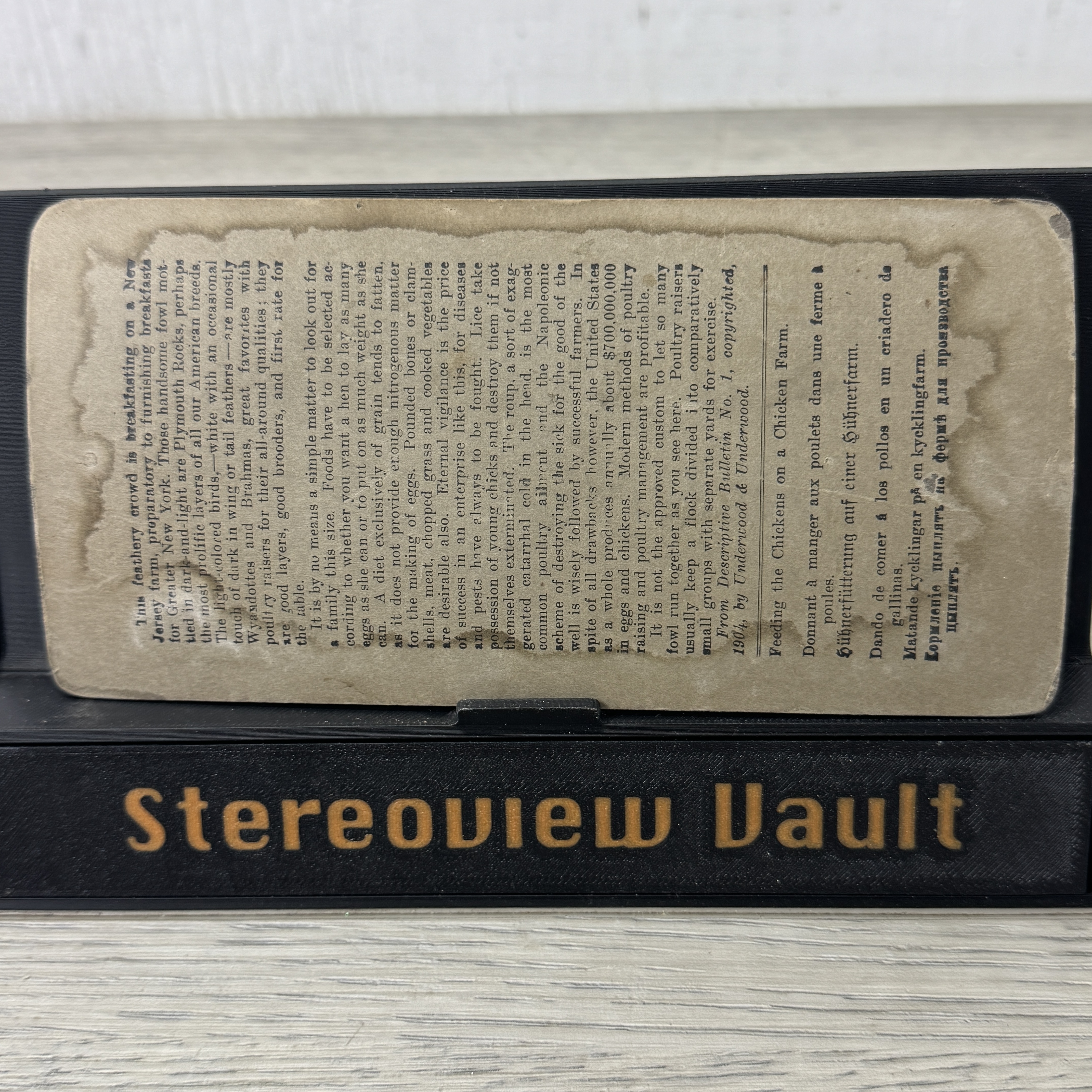 Underwood Stereoview #5808, Feeding Chickens on Farm, c. 1901 - Back