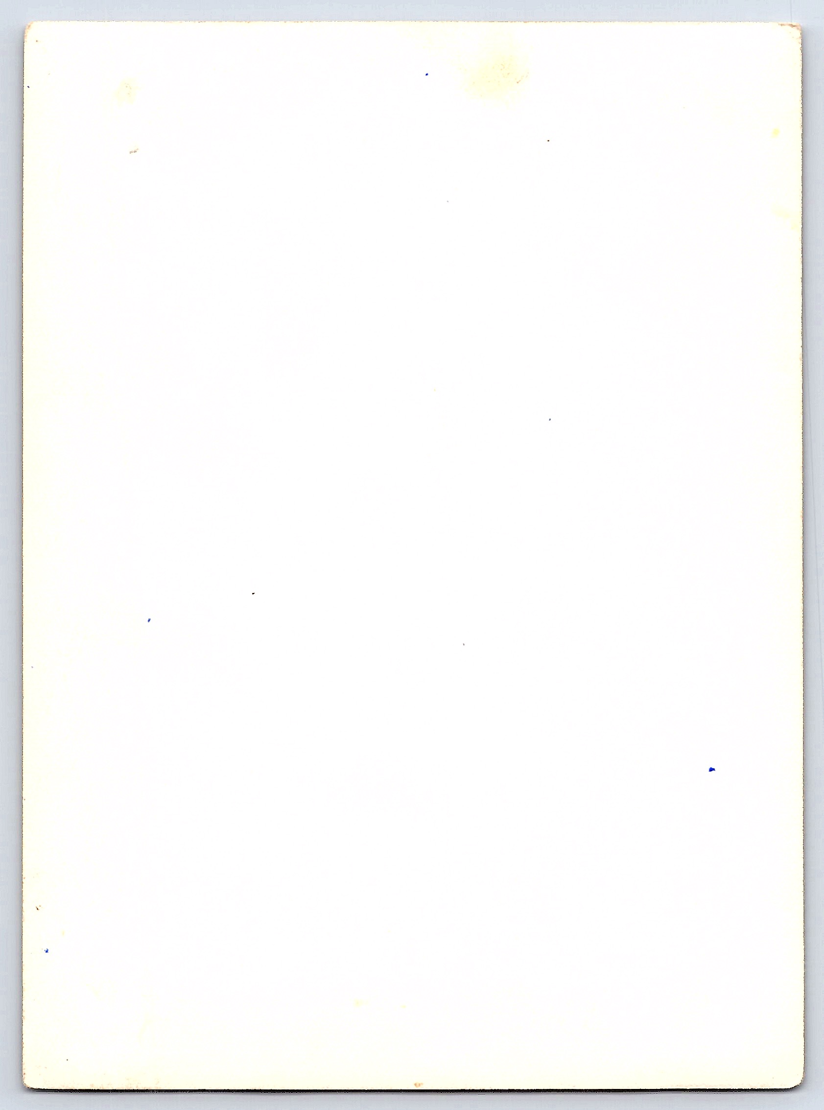 Family Portrait at Picket Fence, Black and White, 1940s - Back