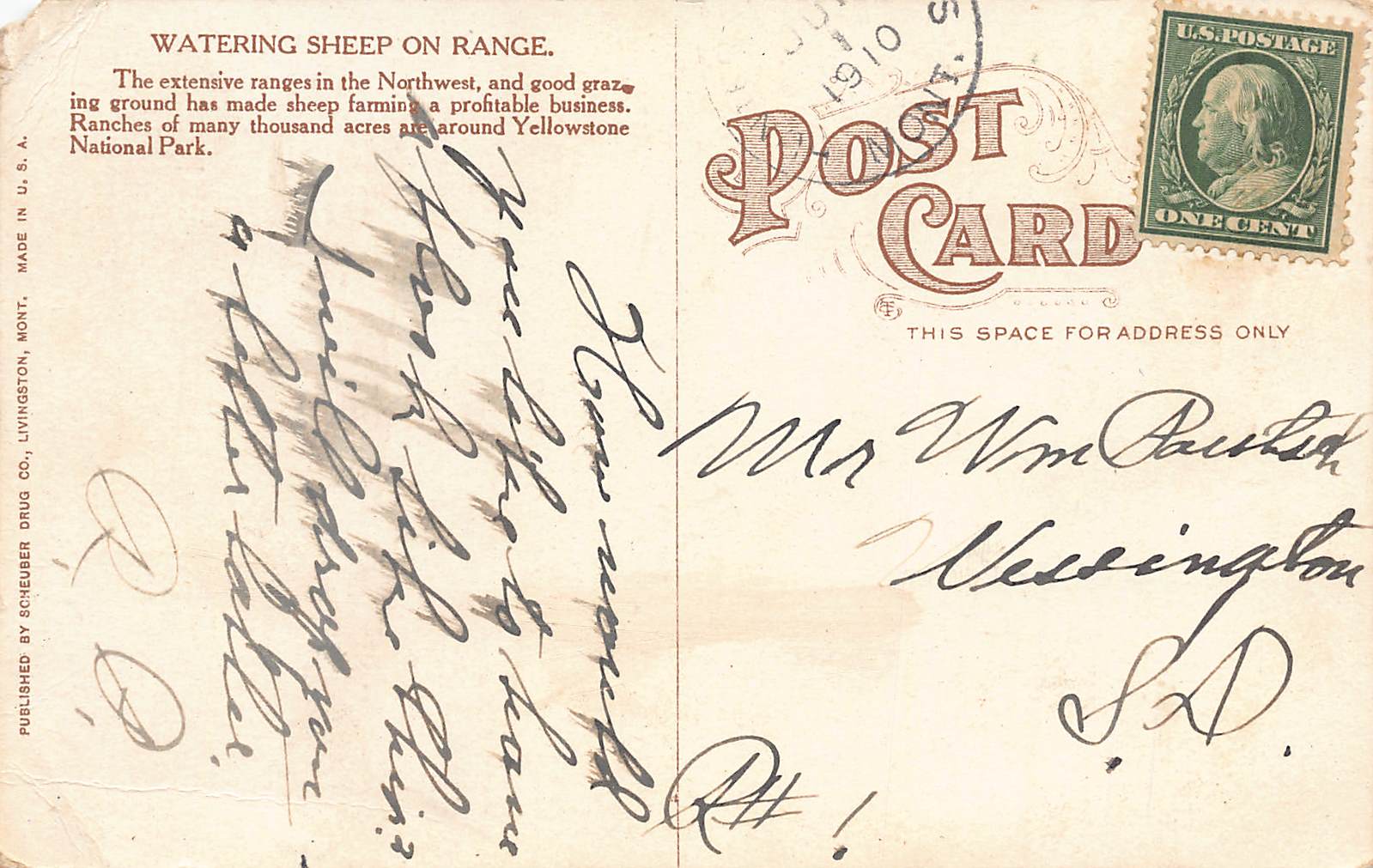 Scheuer Drug Co., Divided Back, Sheep on Range, Yellowstone, 1910 - Back