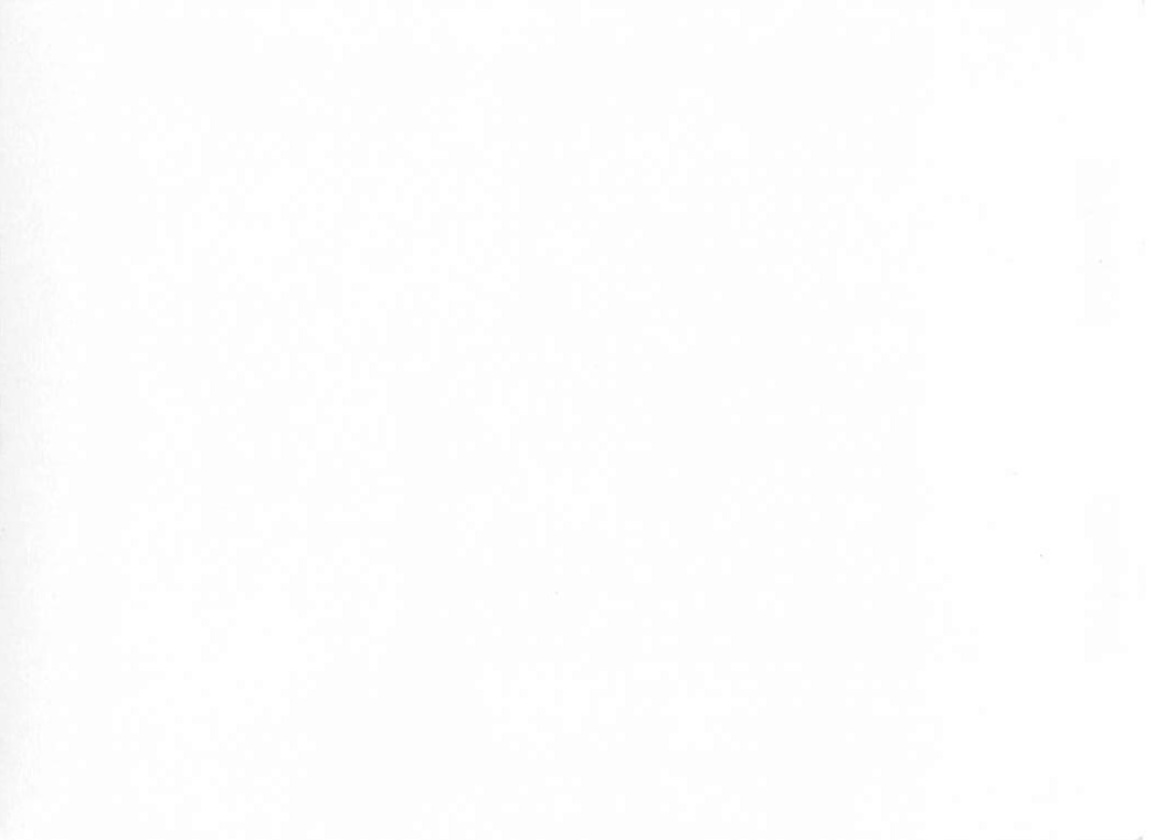 Casa Grande Ruins, Black and White Photograph, 20th Century - Back