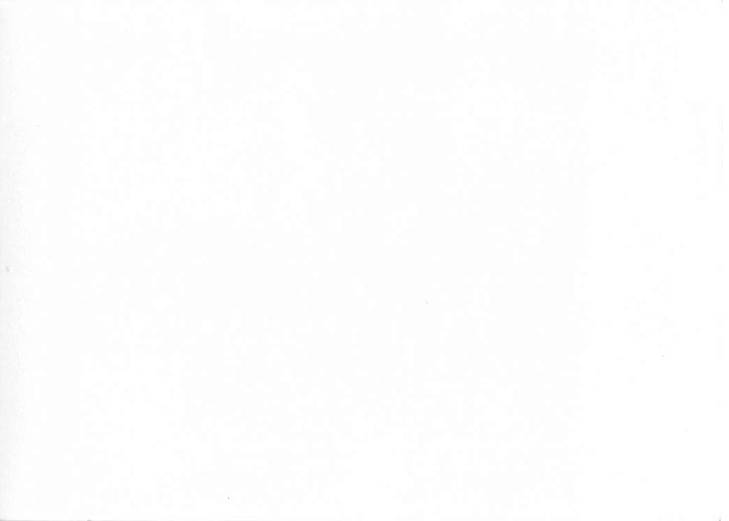 Casa Grande Ruins, Gelatin Silver Print, Arizona, 1950s - Back