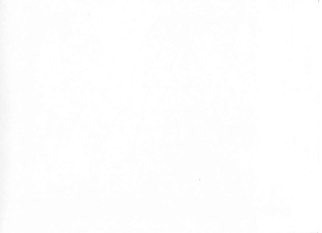 Casa Grande Ruins, Black and White Photograph, Early 20th Century - Back