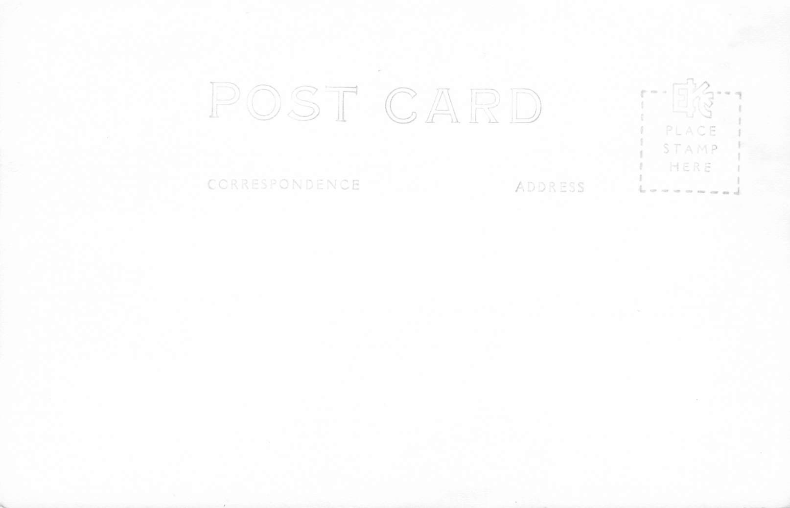 Western Washington Fir Log, RPPC, Washington, 1940s - Back