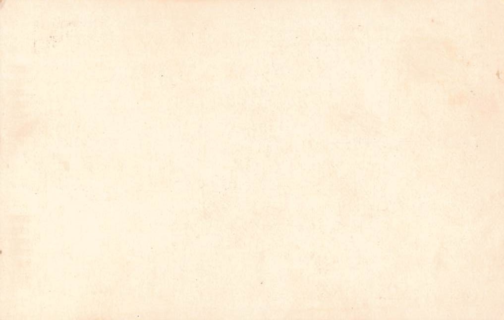 Portals of the Past, Golden Gate Park, San Francisco, c. 1920s - Back