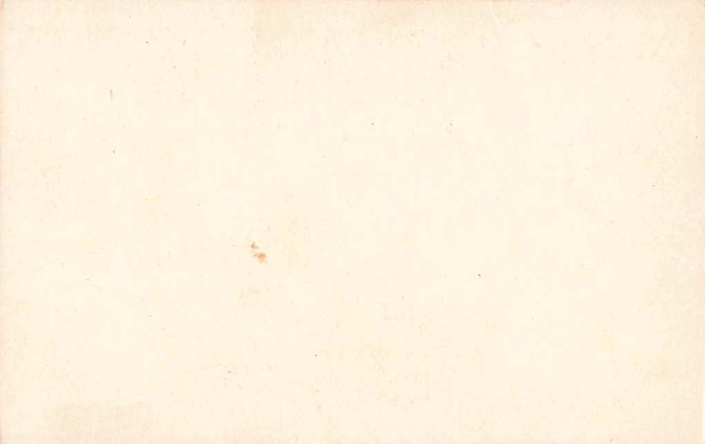 Conservatory, Golden Gate Park, San Francisco, Early 20th Century - Back