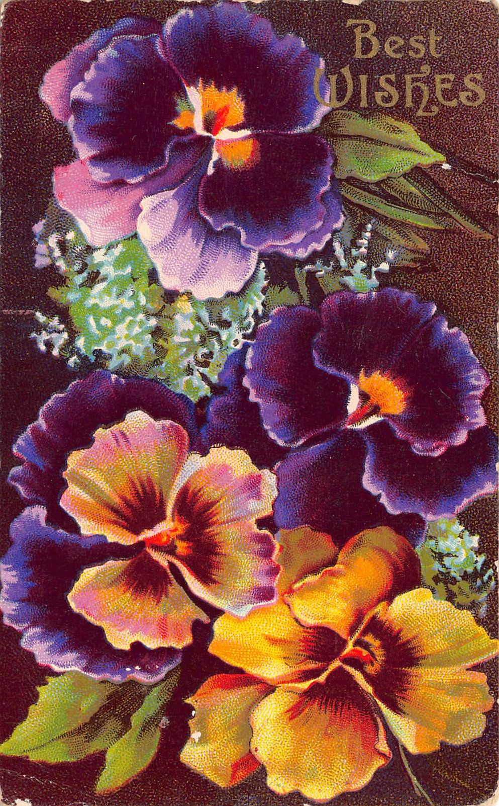 German Publisher, Divided Back, Best Wishes Floral, 1909 Postmark - Front