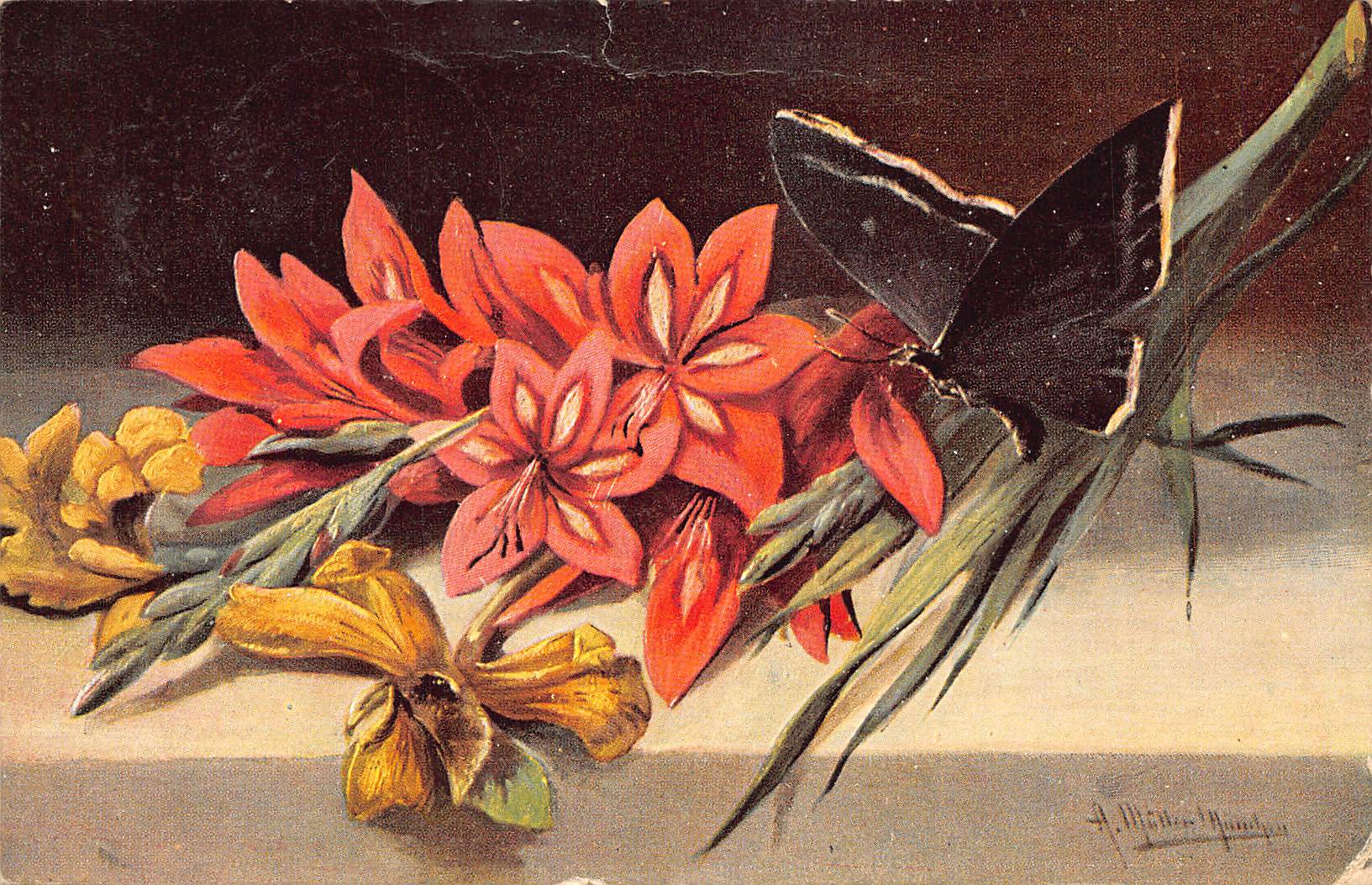 American News Co., Divided Back Postcard, Floral Scene, 1908 Postmark - Front