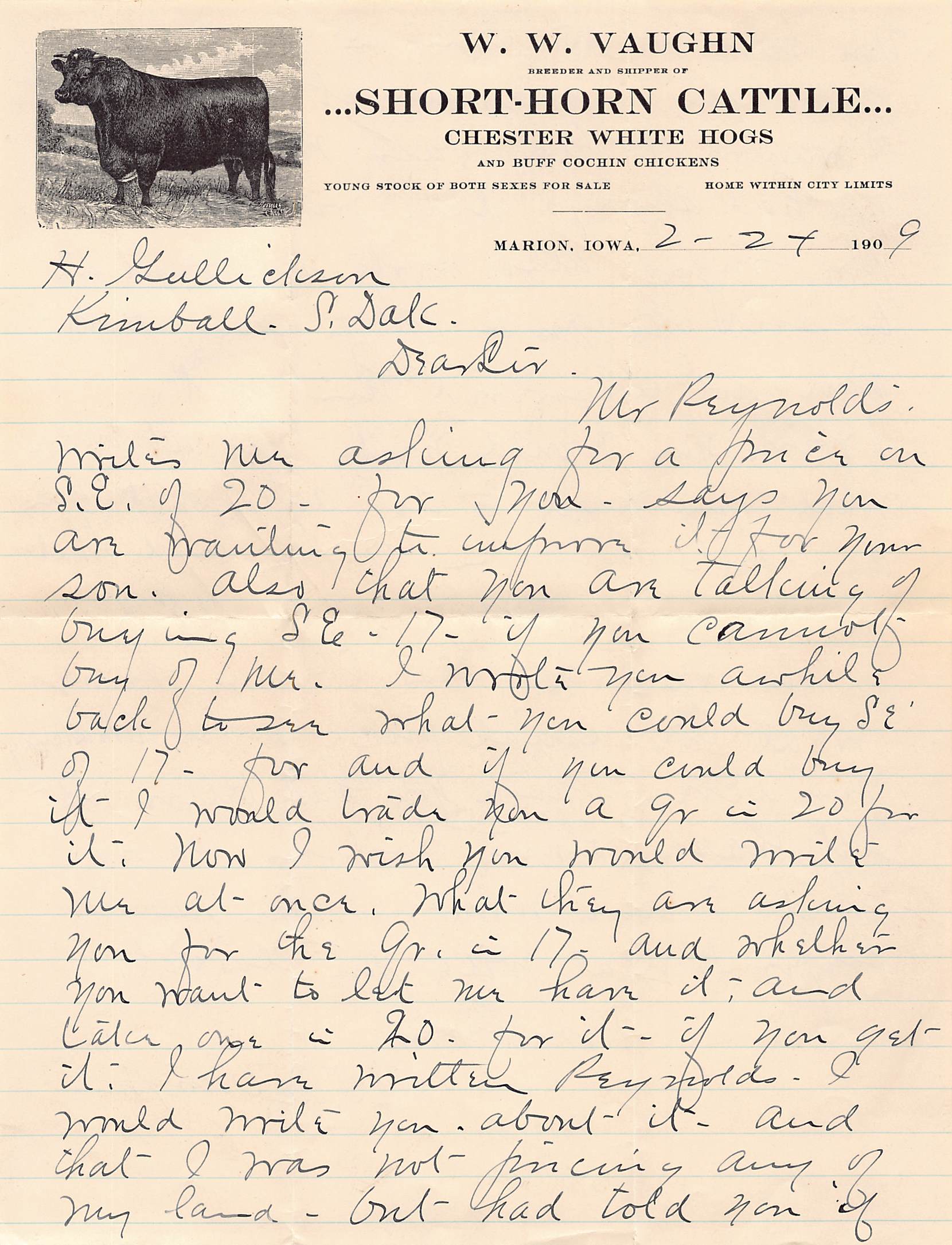 1909 Marion Iowa Short-Horn Cattle Letter w/ Envelope – W.W. Vaughn Farm - Front